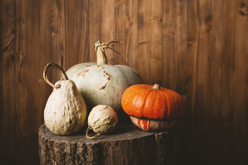 Pumpkin set on wood, autumn background