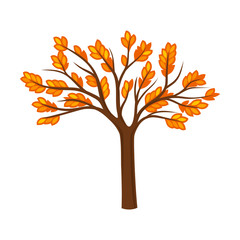 Naklejka na ściany i meble Branchy autumn tree. Vector illustration on a white background.