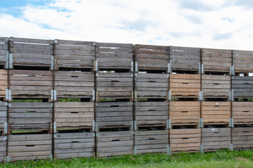 Apfel-Boxen Kisten vor der Ernte