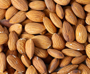 almond nut background, macro shot