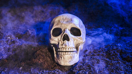 Gloomy skull illuminated by blue light on ground