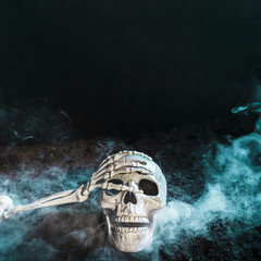 Skeleton's hand touching skull in blue fog on ground