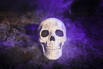 Gloomy skull in blue fog on ground