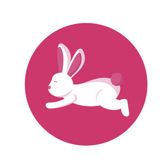 Isolated rabbit cartoon vector design