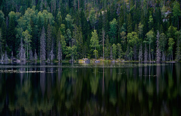 Beautiful lake shore. Nothern landscape, Karelia