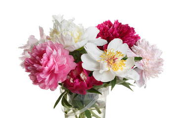 Beautiful bouquet of peonies Isolated on a white background.