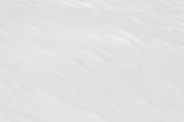 Obraz premium snow white background