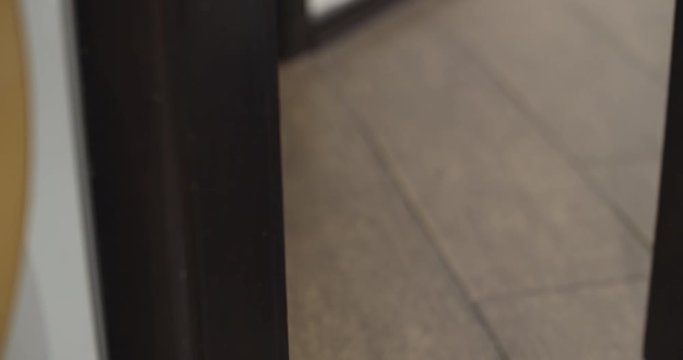 Funny, curious pug dog peeping through the door slit. Peering, peeking through a crack in the door. Intrested to its owner