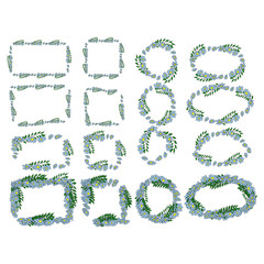 Set of frames. Chamomile with leaves, medicinal plant, hand-drawn