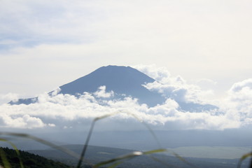 Mt. Fuji with beautiful nature