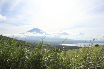 Mt. Fuji with beautiful nature