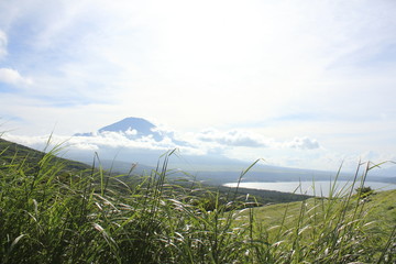 Mt. Fuji with beautiful nature
