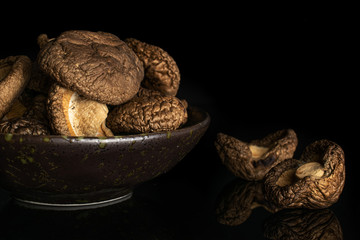 Lot of whole brown dry mushroom shiitake on grey ceramic plate isolated on black glass
