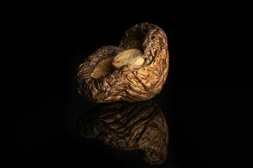 One whole brown dry mushroom shiitake isolated on black glass
