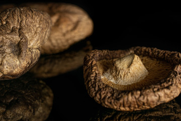 Group of two whole dry mushroom shiitake closeup isolated on black glass