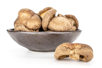 Lot of whole brown dry mushroom shiitake on grey ceramic plate isolated on white background