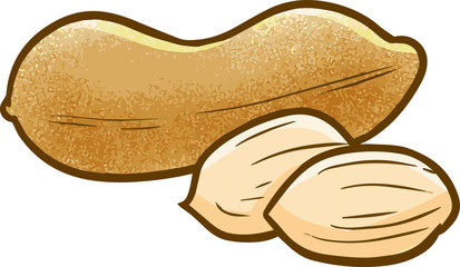 Funny and yummy peanut in simple cartoon style
