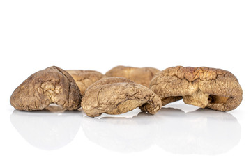 Group of five whole dry mushroom shiitake isolated on white background