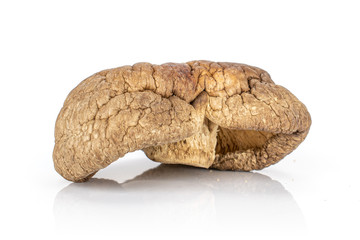 Group of two whole brown dry mushroom shiitake isolated on white background