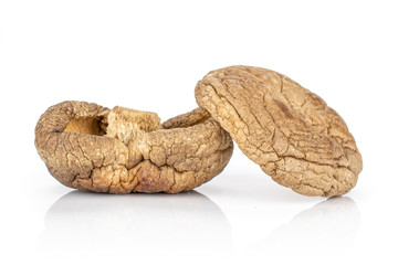 Group of two whole dry mushroom shiitake isolated on white background
