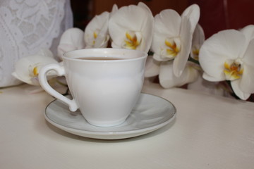 tea in a white mug, near white Orchid.
