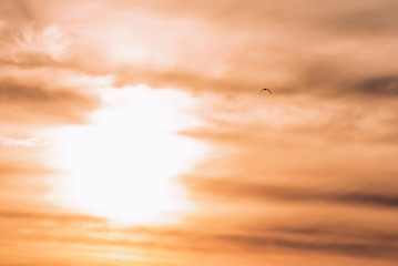 The sun behind beautiful clouds at dawn
