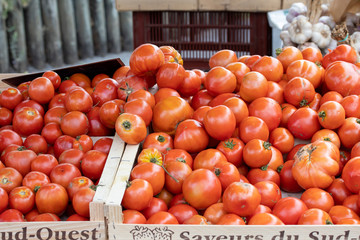 vente de tomates