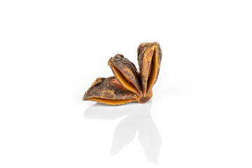 One quarter of dry brown star anise illicium verum isolated on white background