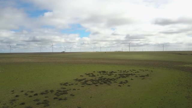 Aerial view of sustainable renewable energy production with wind turbines on hillside near Geraldton in Western Australia.