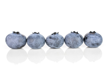 Group of five whole fresh blue bilberry isolated on white background