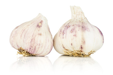 Fototapeta premium Group of two whole organic white garlic allium sativum isolated on white background