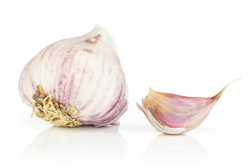 Group of one whole one piece of organic white garlic allium sativum isolated on white background