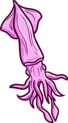 Funny and cute pink squid swimming