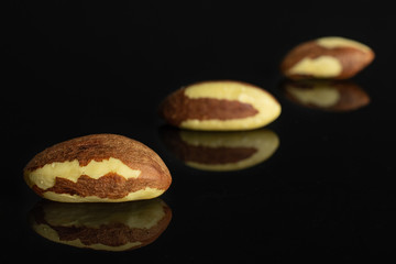 Group of three whole raw brown brazil nut isolated on black glass