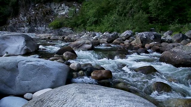 A pristine mountain river flowing in an evergreen forest in North Vancouver.