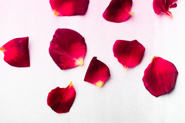 Rose petals, rose background. Floral romantic composition