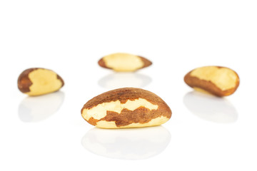 Group of four whole raw brown brazil nut isolated on white background