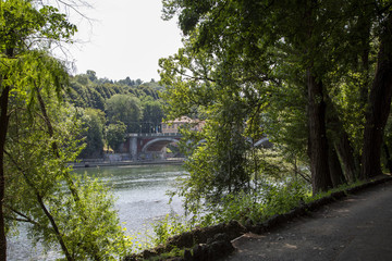 Fototapeta na wymiar The Isabel bridge over the river Po in Turin, seen from the Valentino park.