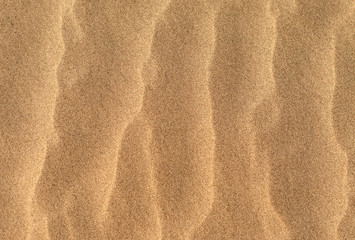 Fototapeta na wymiar Texture of the brown sand