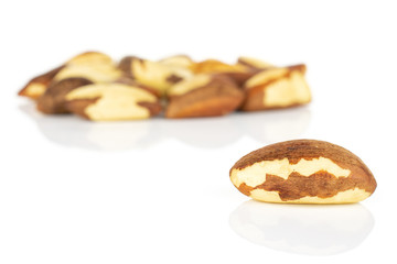 Lot of whole raw brown brazil nut one is in the front isolated on white background