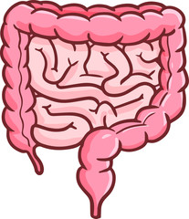 Cute and funny colon or intestine in cartoon style