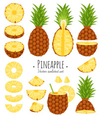 Set of pineapple in cartoon realistic and flat styles vector format isolated on white