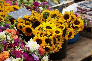 Marktstand Blumen