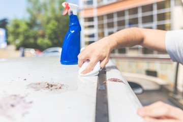 Close up of man cleaning car with cloth and spray bottle, car maintenance concept. Bird shit, drop...