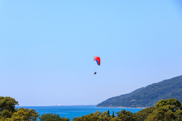 paragliding over a beautiful view of the mountains and the sea.
