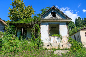 the abandoned house was overgrown with grass