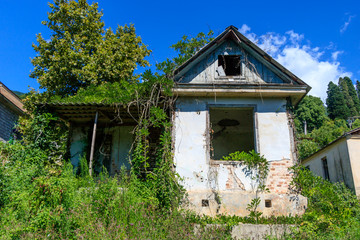 the old abandoned white house was covered with grass on the roof.