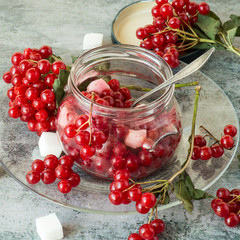 Fresh red berries of viburnum, a glass jar and small pieces of sugar on an old table. Selective focus.