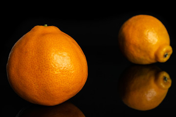 Group of two whole fresh orange tangelo minneola isolated on black glass