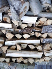aspen firewood in the barn